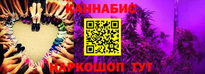 МДПВ Новоалтайск